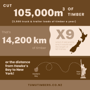 Tumu Timbers Infographic 2